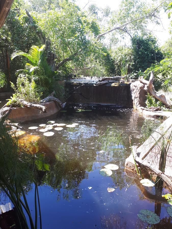 Chinderera Eco Lodge Manguzi Exteriér fotografie